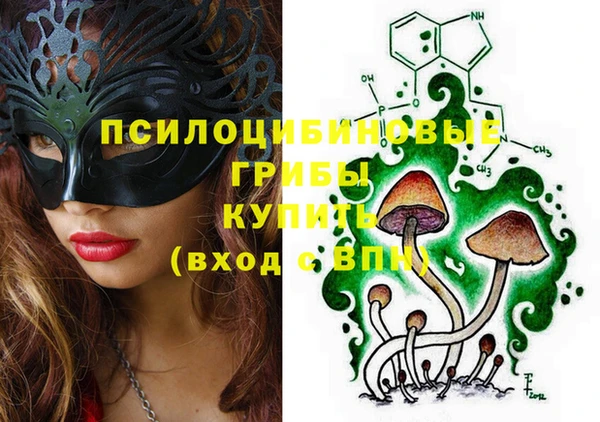 спайс Аркадак