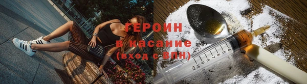 гашик Арсеньев