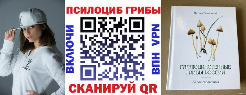 купить   Суздаль  Псилоцибиновые грибы GOLDEN TEACHER 